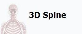 3D_spine.jpg